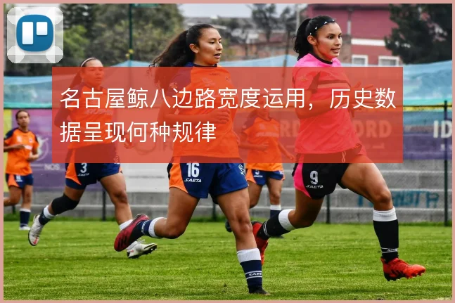 名古屋鲸八边路宽度运用，历史数据呈现何种规律