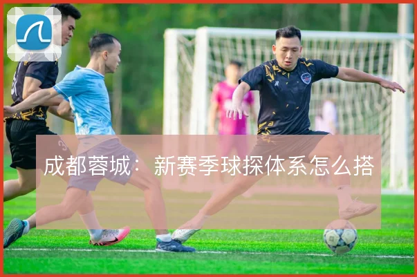 成都蓉城:新赛季球探体系怎么搭